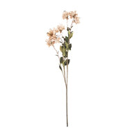Clayre &amp; Eef | Decoratie tak met bloemen Beige Groen 14x14x120 cm | 5PL0258BE