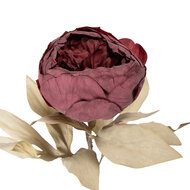 Clayre &amp; Eef | Kunstbloem Rood Groen 11x11x62 cm | 5PL0266R