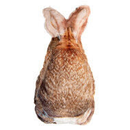 Clayre &amp; Eef | Kussen Konijn Bruin 16x5x32 cm | TW0626