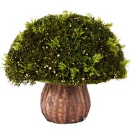 Dekoratief | Bloemstukje m/gras/mos, groen, pvc/papier, 20x20x17cm | A260818