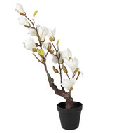 Clayre &amp; Eef | Decoratie Magnolia boom 16x14x60 cm | 5PL0206