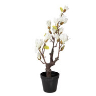 Clayre &amp; Eef | Decoratie Magnolia boom 16x14x60 cm | 5PL0206