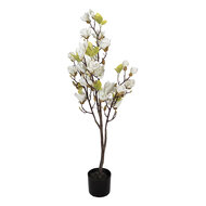 Clayre &amp; Eef | Decoratie Magnolia boom Wit Groen 20x15x120 cm | 5PL0208W