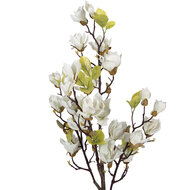 Clayre &amp; Eef | Decoratie Magnolia boom Wit Groen 20x15x120 cm | 5PL0208W