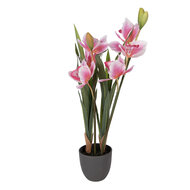 Clayre &amp; Eef | Kunstplant Cattleya Hybrida Roze Groen 14x14x55 cm | 5PL0209