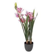Clayre &amp; Eef | Kunstplant Cattleya Hybrida Roze Groen 14x14x55 cm | 5PL0209