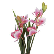 Clayre &amp; Eef | Kunstplant Cattleya Hybrida Roze Groen 14x14x55 cm | 5PL0209