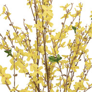 Clayre &amp; Eef | Kunstplant Forsythia Geel Bruin 20x20x125 cm | 5PL0215