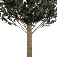 Clayre &amp; Eef | Decoratie Olijfboom Groen Bruin 45x45x120 cm | 5PL0224