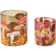 Dekoratief | Set 2 theelichthouders 'Autumn Harvest', glas, 9x9x10cm | A265798