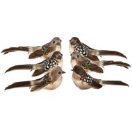 Dekoratief | Vogeltje op clip, bruin, 11x6x6cm, set van 2 stuks | A265568