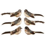 Dekoratief | Vogeltje op clip, bruin, 11x6x6cm, set van 2 stuks | A265568