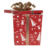 Clayre &amp; Eef | Decoratie Cadeautjes (2) Rood Groen 26x26x33 / 21x21x27 cm | 6Y6029