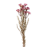 Clayre &amp; Eef | Decoratie tak met bloemen Roze 77 cm | 5PL0290P