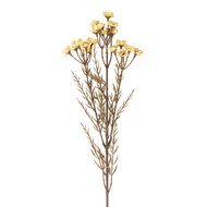 Clayre &amp; Eef | Decoratie tak met bloemen Wit 77 cm | 5PL0290W