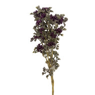 Clayre &amp; Eef | Decoratie tak met bloemen Rood 67 cm | 5PL0294R
