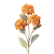 Clayre &amp; Eef | Decoratie tak met bloemen Oranje 70 cm | 5PL0313O