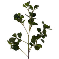 Clayre &amp; Eef | Decoratie tak Groen 95 cm | 5PL0322