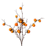 Clayre &amp; Eef | Decoratie tak Oranje 105 cm | 5PL0336