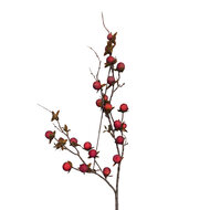 Clayre &amp; Eef | Decoratie tak Rood 86 cm | 5PL0338