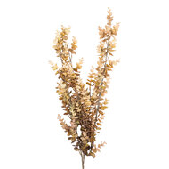 Clayre &amp; Eef | Decoratie tak Beige Groen 90 cm | 5PL0352BE