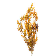 Clayre &amp; Eef | Decoratie tak Geel Groen 90 cm | 5PL0352Y