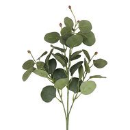 Clayre &amp; Eef | Decoratie tak Paars Groen 85 cm | 5PL0365PA
