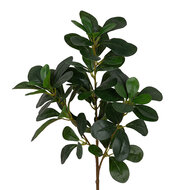 Clayre &amp; Eef | Decoratie tak Groen 78 cm | 5PL0370