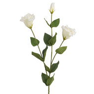 Clayre &amp; Eef | Decoratie tak met bloemen Wit Groen 72 cm | 5PL0384W