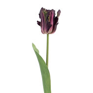 Clayre &amp; Eef | Decoratie tak met bloemen Paars Groen 61 cm | 5PL0385A