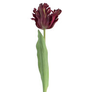 Clayre &amp; Eef | Decoratie tak met bloemen Paars Groen 61 cm | 5PL0385LA