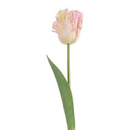 Clayre &amp; Eef | Decoratie tak met bloemen Roze Groen 61 cm | 5PL0385LP