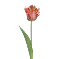 Clayre &amp; Eef | Decoratie tak met bloemen Oranje Groen 61 cm | 5PL0385O