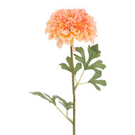 Clayre &amp; Eef | Decoratie tak met bloemen Roze Groen 60 cm | 5PL0388P
