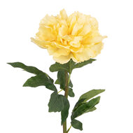 Clayre &amp; Eef | Decoratie tak met bloemen Beige Groen 58 cm | 6PL0443BE