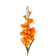 Clayre &amp; Eef | Decoratie tak met bloemen Orange 95 cm | 5PL0303O