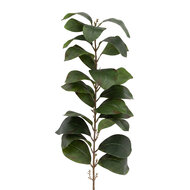 Clayre &amp; Eef | Decoratie tak Groen 120 cm | 5PL0316
