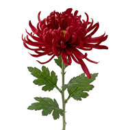 Clayre &amp; Eef | Decoratie tak met bloemen Bruin Groen 76 cm | 5PL0335CH