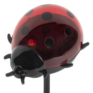 Clayre &amp; Eef | Tuinprikker lieveheersbeestje op zonne-energie Rood Zwart 7x6x14 cm | 6LMS0003