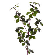 Clayre &amp; Eef | Decoratie tak Groen 72 cm | 5PL0282
