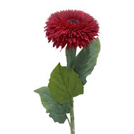 Clayre &amp; Eef | Decoratie tak met bloemen Rood Groen 86 cm | 5PL0326R