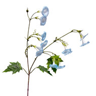 Clayre &amp; Eef | Decoratie tak met bloemen Blauw Groen 80 cm | 5PL0332BL