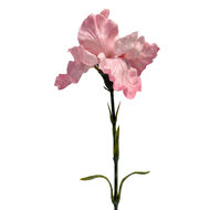 Clayre &amp; Eef | Decoratie tak met bloemen Roze Groen 62 cm | 6PL0436P