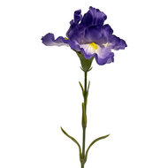 Clayre &amp; Eef | Decoratie tak met bloemen Paars Groen 62 cm | 6PL0436PA