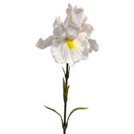 Clayre &amp; Eef | Decoratie tak met bloemen Wit Groen 62 cm | 6PL0436W