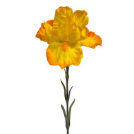 Clayre &amp; Eef | Decoratie tak met bloemen Geel Groen 62 cm | 6PL0436Y