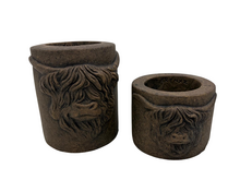 Brynxz Waxinelichthouder Scotty Majestic Brown maat L - 12 x 11 cm