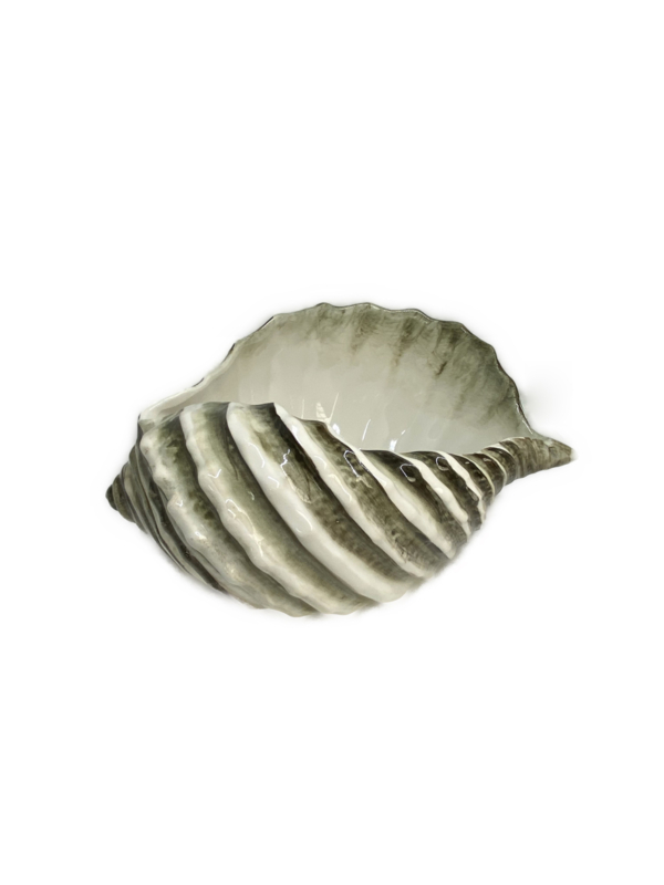 Schelp schaal groot gedraaid wit bruin 26x20 h13 | Wijnkoeler | Decoratie | Fruitschaal | Bloempot klein bruin wit 20 x 18 cm | SP03 | Piccobella