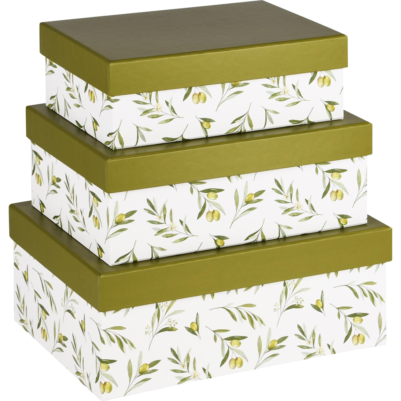 Dekoratief | Set 3 dozen rechthoek 'Olives', karton, 26x18x10cm | A240222