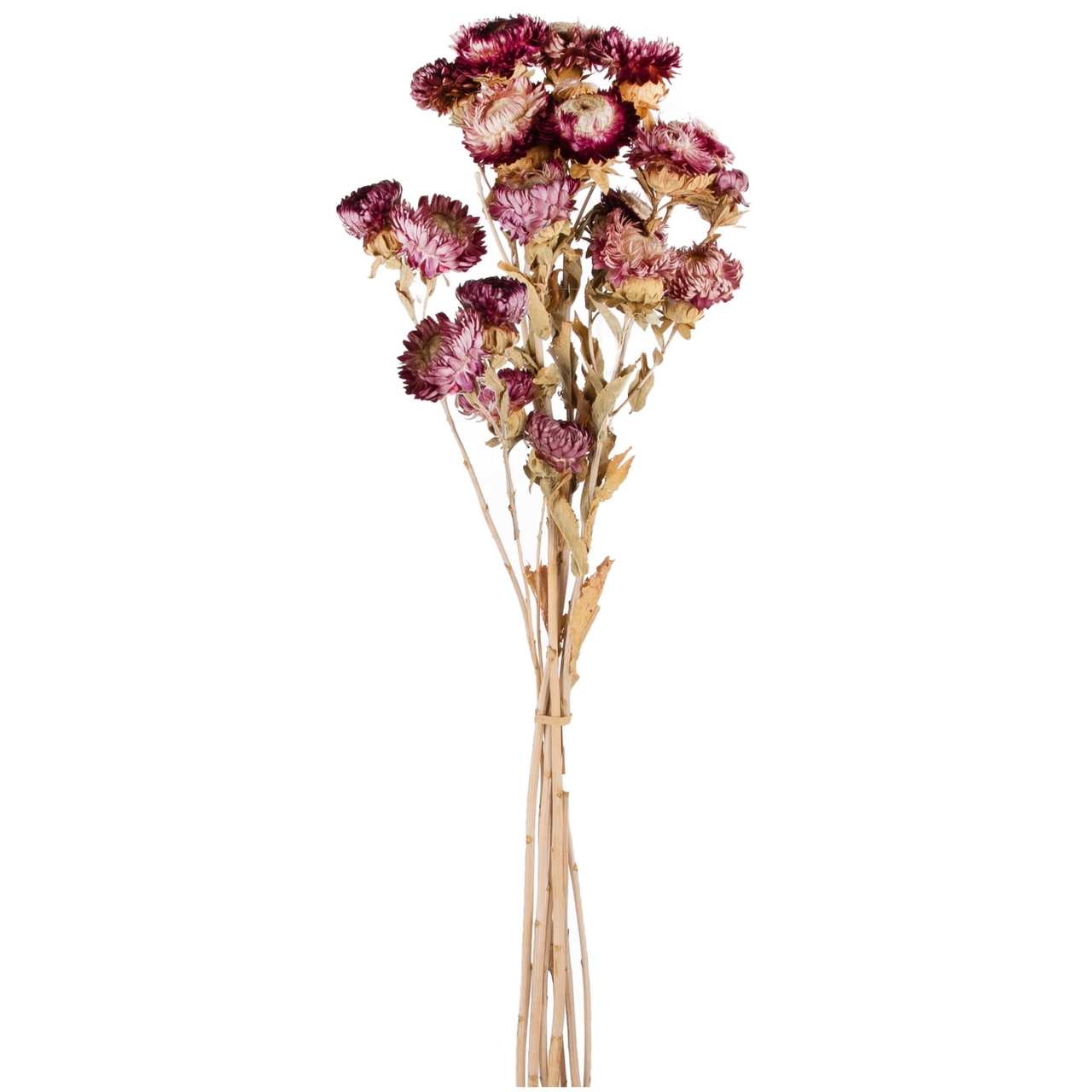 Dekoratief | Droogboeket m/roze bloemen, naturel, 65cm | A240582
